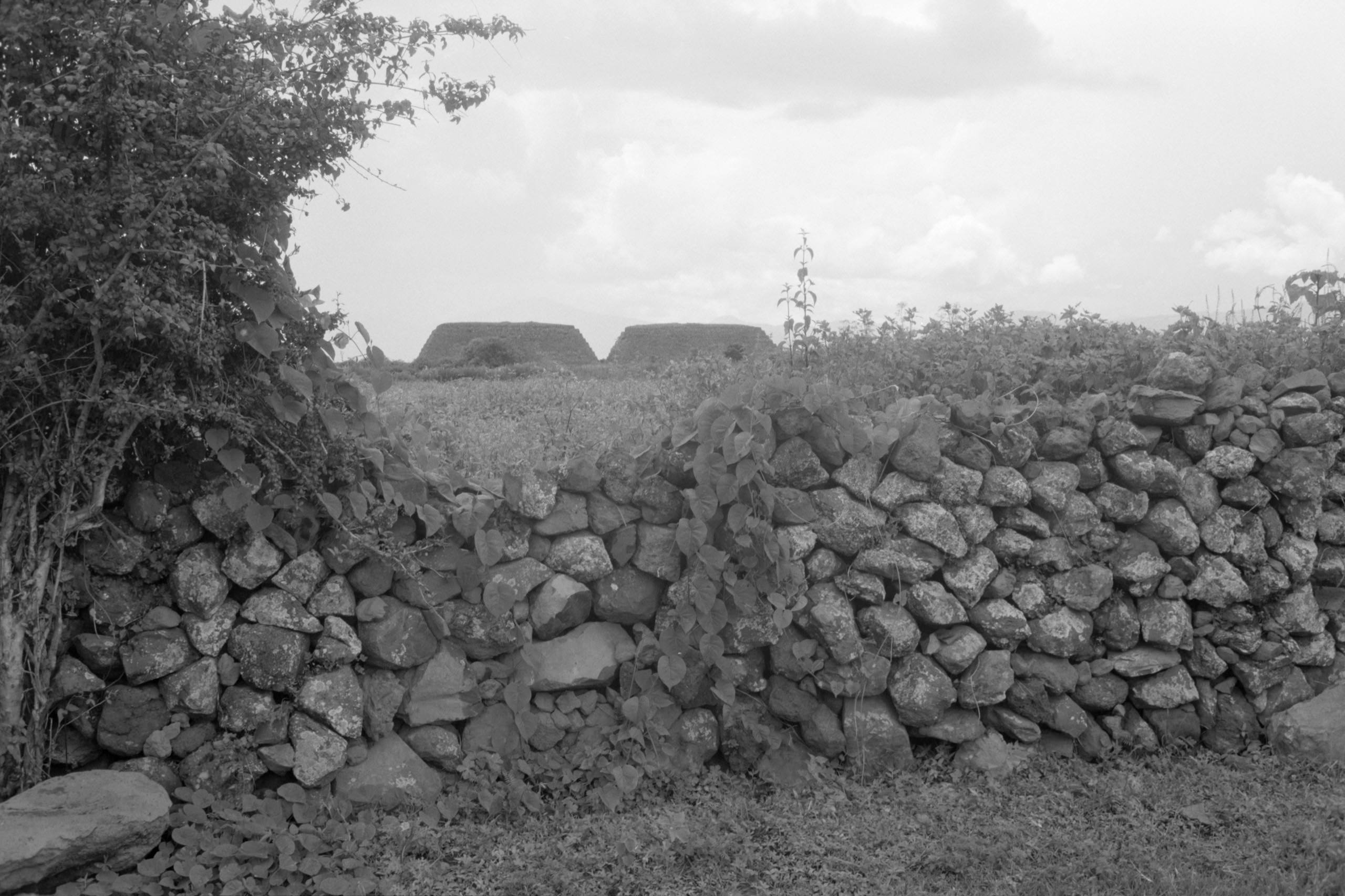 AHP FilmScan 240807 0487